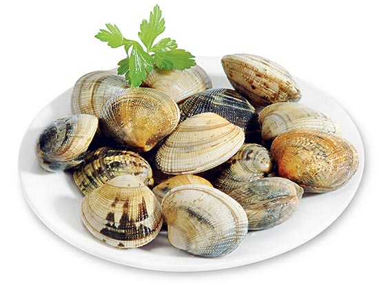 vongole-veraci_jpg